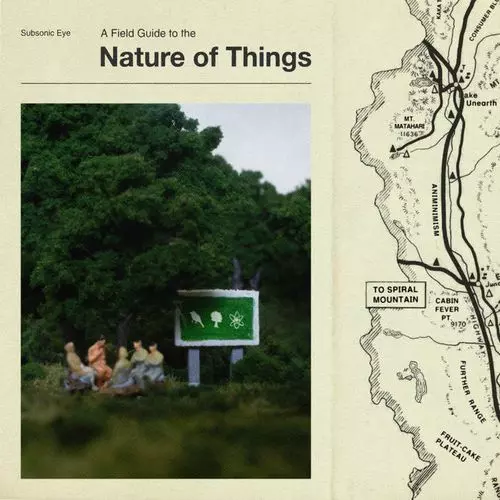 SUBSONIC EYE / サブソニック・アイ / NATURE OF THINGS / ネイチャー・オブ・シングス (LP)