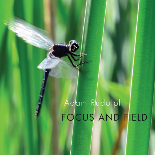 ADAM RUDOLPH / アダム・ルドルフ / Focus And Field