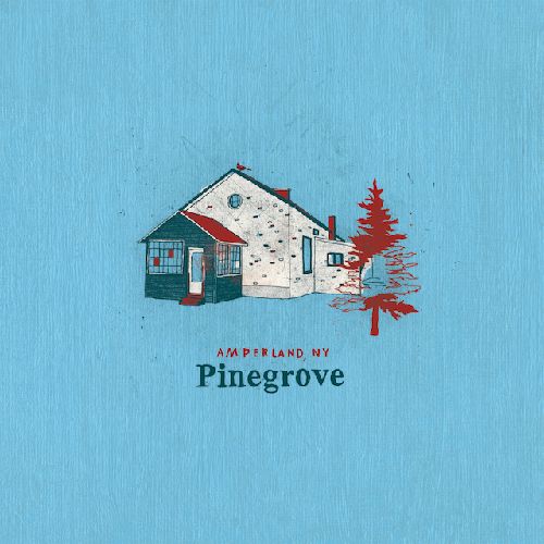 PINEGROVE / パイングローヴ / AMPERLAND, NY (CD)
