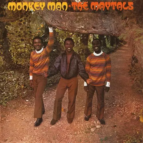 MAYTALS / メイタルズ / MONKEY MAN (BLACK VINYL)