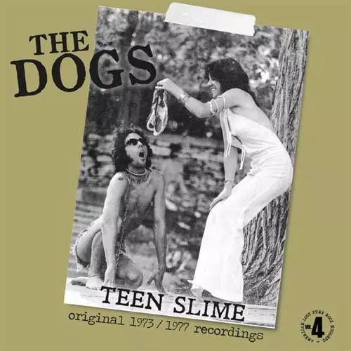TEEN SLIME - ORIGINAL 1973/1977 RECORDINGS (LP)/DOGS/ドッグス (US