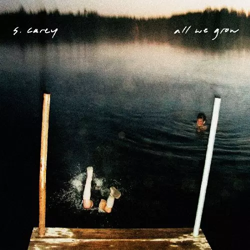 S. CAREY / エス・キャリー / ALL WE GROW (TEN YEAR ANNIVERSARY EDITION / COLORED VINYL)