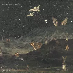 MIHAI POL / JAZZ THE RABBIT