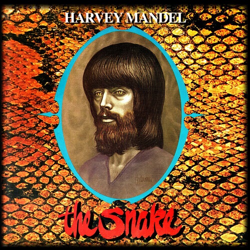 HARVEY MANDEL / ハーヴェイ・マンデル / THE SNAKE