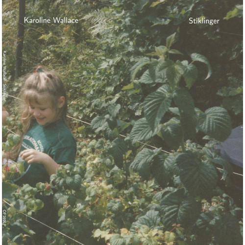 KAROLINE WALLACE / Stiklinger(LP)