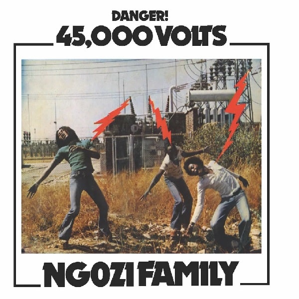 NGOZI FAMILY / ンゴジ・ファミリー / 45,000 VOLTS