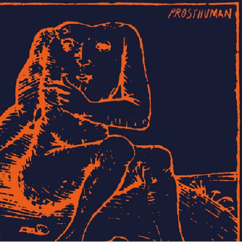 CAMERA / PROSTHUMAN (LP)