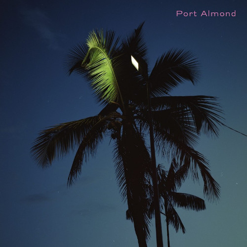 PORT ALMOND / ポート・アーモンド / Port Almond / ポート・アーモンド(LP/140g)
