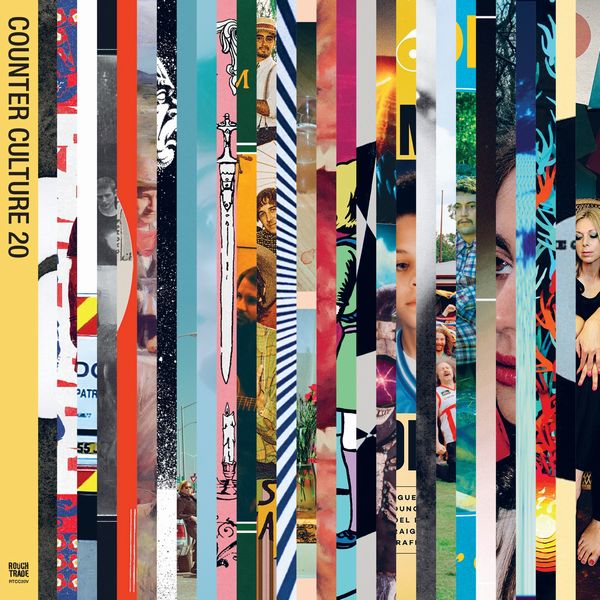 V.A. (ROCK / POPS) / ROUGH TRADE SHOPS COUNTER CULTURE 20 (2CD)