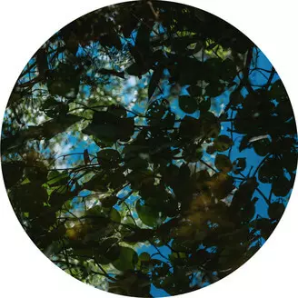 El CHOOP / INSANE SENDS EP 