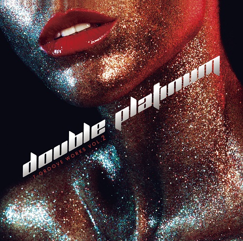 V.A.(REMIXED BY T-GROOVE) / DOUBLE PLATINUM T-GROOVE WORKS VOL.2 (LP)