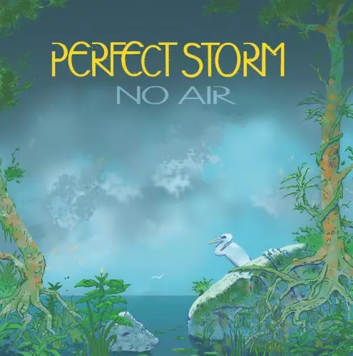 PERFECT STORM (PROG) / PERFECT STORM / NO AIR