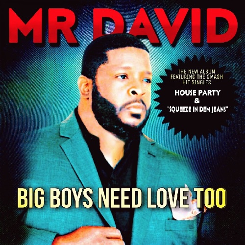 MR.DAVID / BIG BOYS NEED LOVE