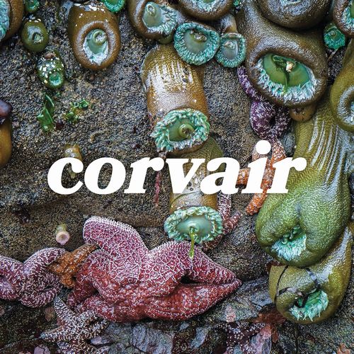 CORVAIR / CORVAIRS / CORVAIR (LP)