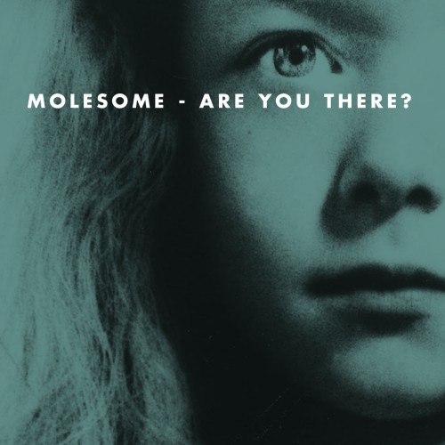 MOLESOME / モールソム / ARE YOU THERE?