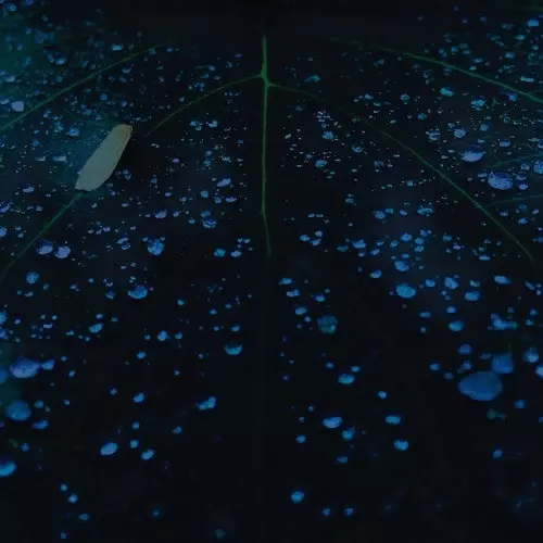 MU TATE / LET ME PUT MYSELF TOGETHER