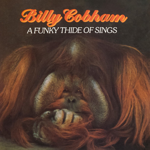 BILLY COBHAM / ビリー・コブハム / Funky Thide Of Sings