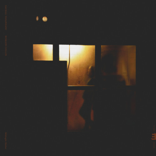 SACHAL VASANDANI / サシャル・ヴァサンダーニ / Midnight Shelter(LP)
