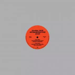 JORDAN GCZ / INTROSPECTIVE ACID