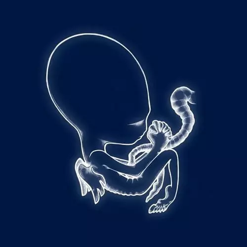 SIGUR ROS / シガー・ロス商品一覧｜ディスクユニオン・オンラインショップ｜diskunion.net