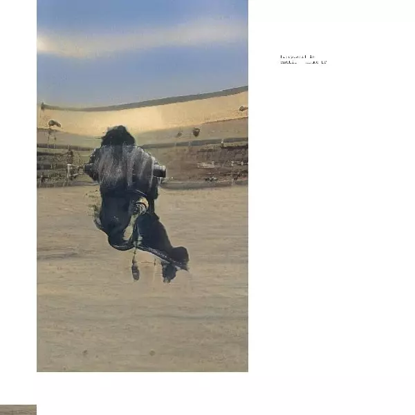 DUBTIL / ANUME EP (180G)