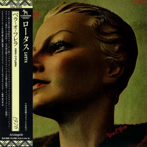【新品】Punk 45 1976-80 パンク レコード アルバム ジャケット Punk 45 : The Singles Cover Art Of Punk 1976-80 / パンク
