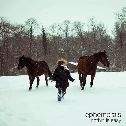 NOTHIN IS EASY (LIMITED BLUE VINYL)/EPHEMERALS/エフェメラルズ