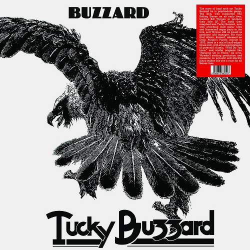TUCKY BUZZARD / タッキー・バザード / BUZZARD - 180g LIMITED VINYL