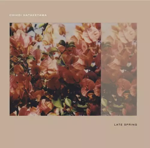 CHIHEI HATAKEYAMA / 畠山地平 / LATE SPRING(LP)