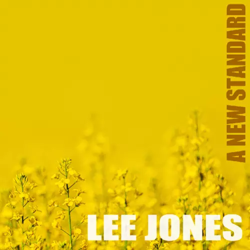 LEE JONES(JAZZ) / リー・ジョーンズ / New Standard