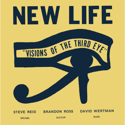 NEW LIFE TRIO / Visions Of The Third Eye(LP)