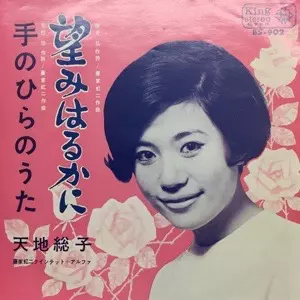 FUSAKO AMACHI / 天地総子商品一覧｜ディスクユニオン・オンライン