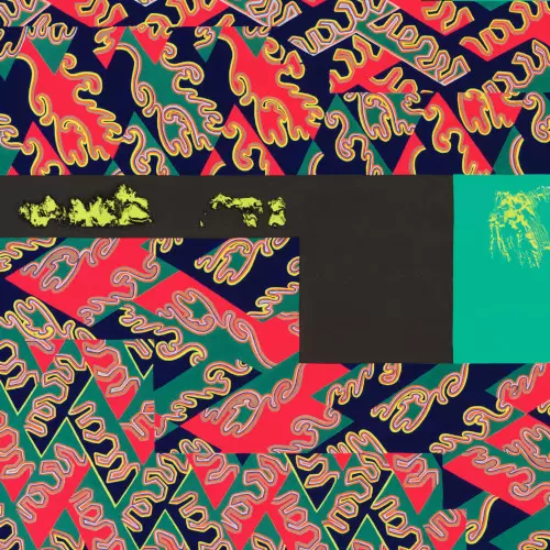 NATURAL INFORMATION SOCIETY / ナチュラル・インフォメーション・ソサイエティ / Descension (Out of Our Constrictions)(2LP)