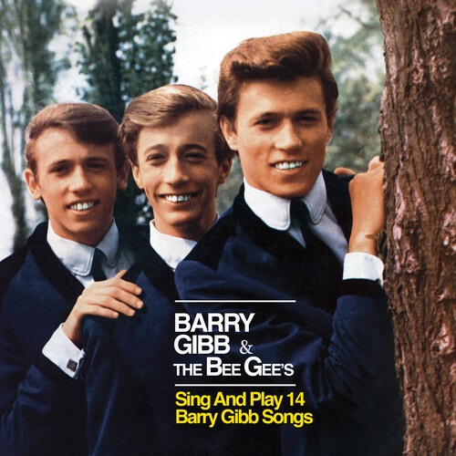 BARRY GIBB & THE BEE GEES / SING AND PLAY 14 BARRY GIBB SONGS