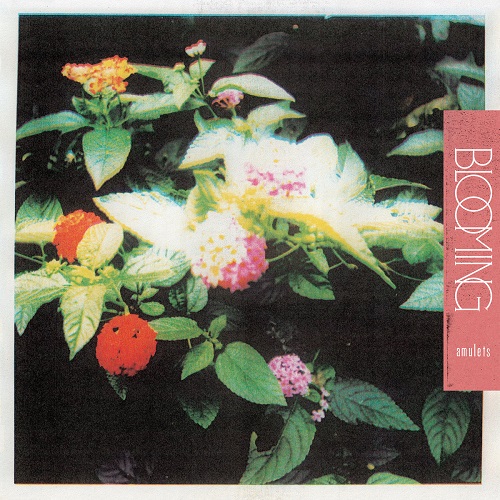 AMULETS / BLOOMING (LP)