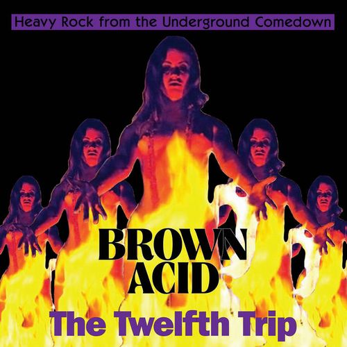 V.A. (BROWN ACID) / BROWN ACID : THE TWELFTH TRIP (COLOR LP)
