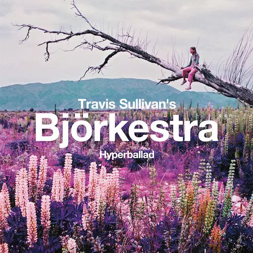 TRAVIS SULLIVAN'S BJORKESTRA / トラヴィス・サリヴァンズ・ビョーケストラ / Hyperballad c/w Venus as a boy(12")