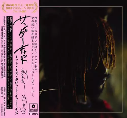 THUNDERCAT / サンダーキャット / It Is What It Is "日本盤CD" (数量限定仕様)