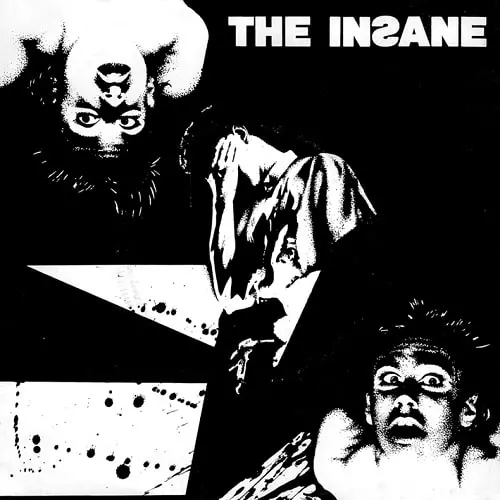 INSANE (PUNK)商品一覧｜PUNK｜ディスクユニオン・オンラインショップ