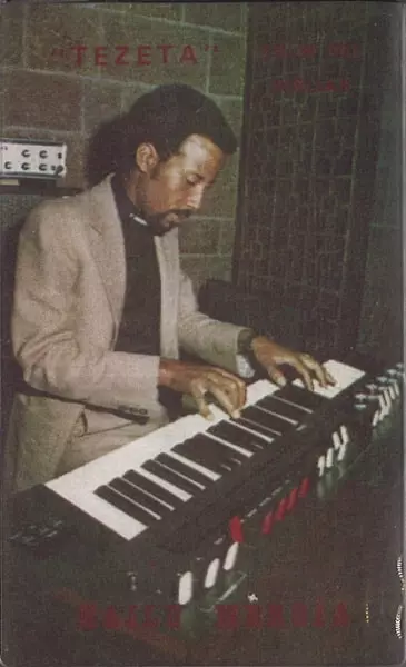 HAILU MERGIA / ハイル・メルギア / TEZETA