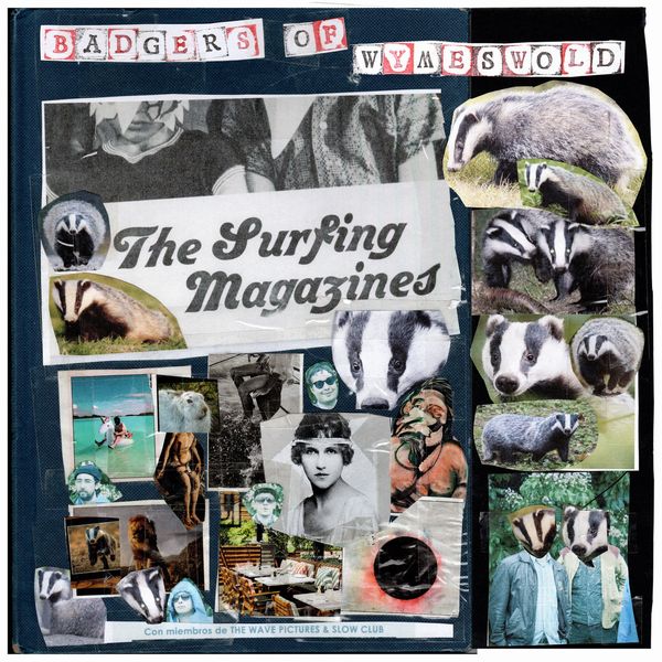 SURFING MAGAZINES / BADGERS OF WYMESWOLD (CD)