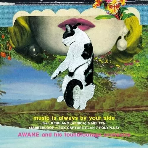 AWANE and his foundfootage orchestra / music is always by your side / something about us (the LEWD HERTZ live dub)