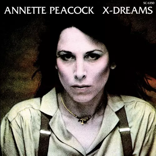 ANNETTE PEACOCK / アネット・ピーコック商品一覧｜JAZZ