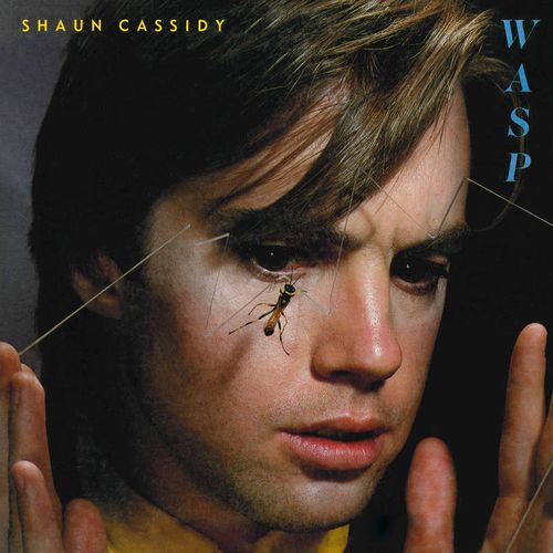 SHAUN CASSIDY / ショーン・キャシディ / WASP [LP]RSD_DROPS_2021_0717