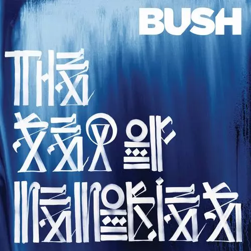 BUSH / ブッシュ商品一覧｜OLD ROCK｜ディスクユニオン・オンライン