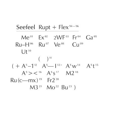 SEEFEEL シーフィール / RUPT & FLEX (1994 - 96)