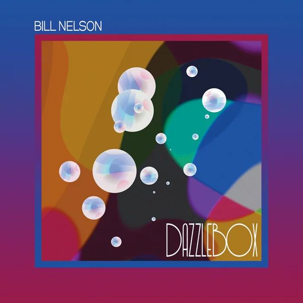 BILL NELSON / ビル・ネルソン / DAZZLEBOX (2CD)