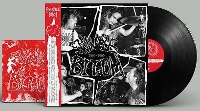 SWINDLE BITCH / スウィンドルビッチ / LONELY WOLF LIKE A STORM - COMPLETE SWINDLE BITCH 1993-1995 (LP/BLACK VINYL)