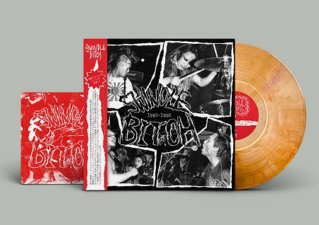 SWINDLE BITCH / スウィンドルビッチ / LONELY WOLF LIKE A STORM - COMPLETE SWINDLE BITCH 1993-1995 (LP/COLOR VINYL)