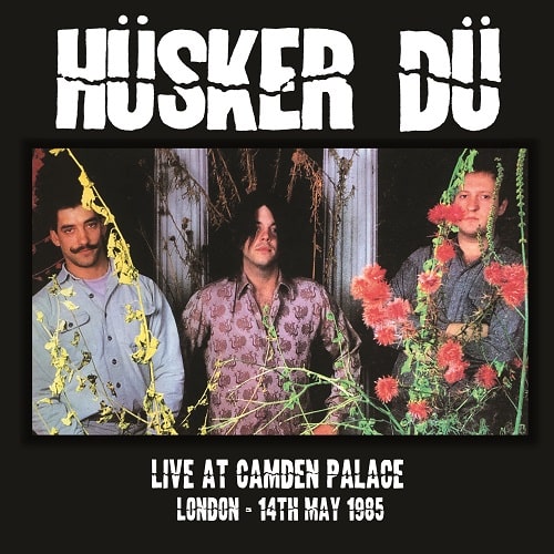 Live from the Camden Palace / [DVD]